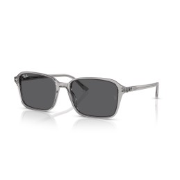 RAY BAN 2231 RAIMOND