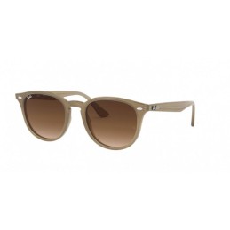 RAY BAN 4259