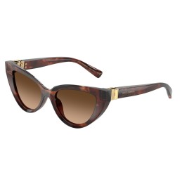 DOLCE&GABBANA 4497