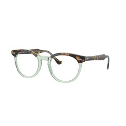 RAY BAN 5598 EAGLEEYE