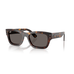 RAY BAN 7683 JOSEPH